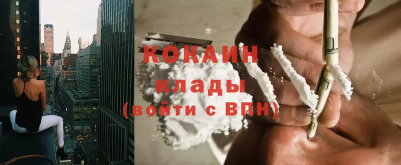 где купить наркоту  Зима  COCAIN FishScale 