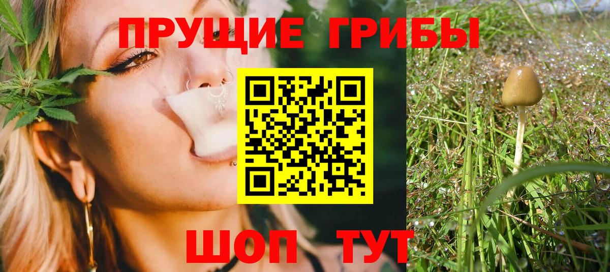 Зима  где можно купить наркотик  Вход с VPN  Псилоцибиновые грибы MAGIC MUSHROOMS 
