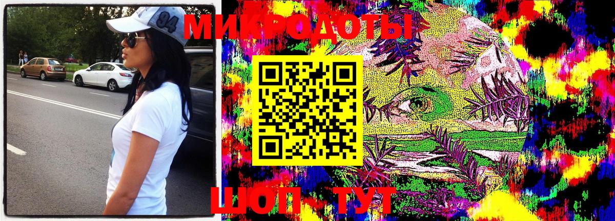 Галлюциногенные грибы Cubensis Зима